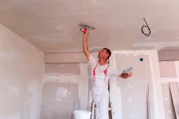 Best Drywall for New Construction  in Terryville, NY